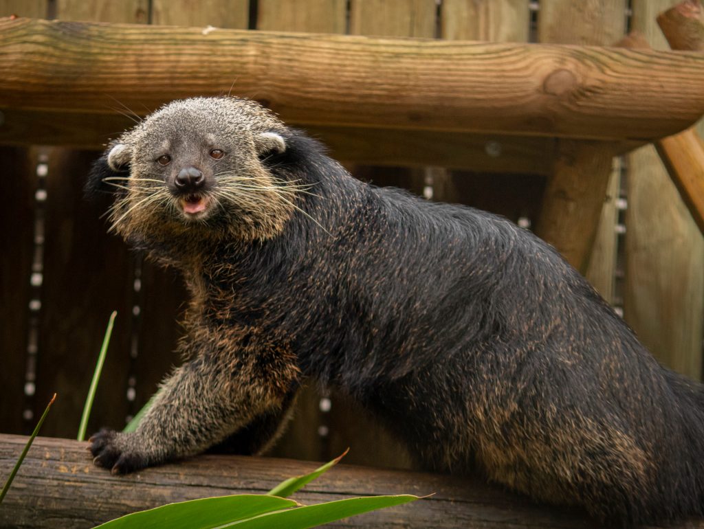 Our Animals - ZooTampa at Lowry Park